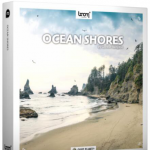 环境海浪海鸥鸟叫海岸线环绕立体无损音效库