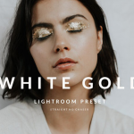 适用于商业品牌人像Lightroom预设