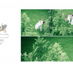 婚纱模板-scenery-竖