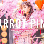 明亮粉彩古装人像调色Lightroom预设