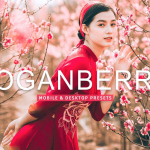 明亮电影胶片感人像调色Lightroom预设