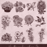 素描花朵PS笔刷素材