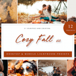 秋季电影人像风光Lightroom预设