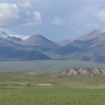 草原的高清实拍视频素材1080P