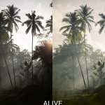 油管大神EMMETT SPARLING旅拍风光Lightroom预设