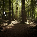 AE插件-丁达尔光效放射体积光视觉特效 Crates Godrays Win/Mac