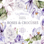 41个水彩玫瑰和番红花背景剪贴PNG素材