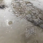 Blender插件-真实下雨水滴涟漪动画效果 Rain.Water v2.1