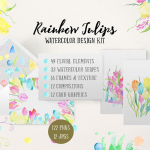 彩虹郁金香水彩花卉设计元素套件