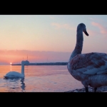 20个Slog3旅拍自然风光视频调色 LUT预设及Rec 709格式LUT预设