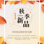 秋季新品宣传海报设计PSD分层源文件素材