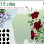 复古牵牛花PS笔刷