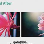 照片摄影构图合成的艺术教程-中英字幕