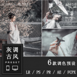 古风汉服唯美古装电影质感灰人像Lightroom预设及LUT预设