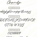 【英文字体】Charmelya – Handwriting script font