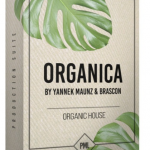 音效库 540多个专业录音和强大的自然声音音效素材