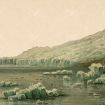 95张复古花鸟人物动植物风景剪贴艺术画报PNG图片素材