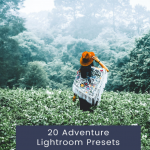 旅拍森系电影人像调色免费Lightroom预设