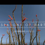 144组春天春意盎然鸟语花香大自然微风气息春暖花开无损音效