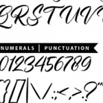 【英文字体】Silver Flower – Drybrush Script Font