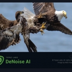 PS插件-图片人工智能AI降噪去颗粒处理软件 Topaz DeNoise AI v3.7.2