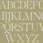 时尚优雅欧风画册海报杂志排版标题Logo设计英文衬线字体