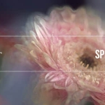 万花筒分割模糊迷幻视觉特效AE/PR插件 Split Blur v1.3.0 Win/Mac