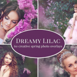 【图片素材】60张梦幻紫色花卉丁香照片叠加调色前景画框图片素材