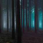 森系黑暗情绪旅拍人像Lightroom预设