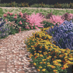 花草树木森林植物生成器C4D插件 Forester v1.5.4 Win