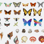 【PNG素材】400+复古植物动物鸟类蝴蝶人物花草花卉树叶建筑