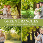 40张高清摄影后期合成前景绿色树枝PNG素材