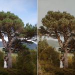 质感温暖LR预设