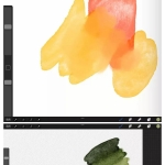 这套笔刷无敌了，随便划拉了一张，真的巨好看