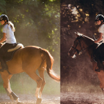 马术骑士电影色彩AI人工智能Lightroom预设及视频调色lut预设