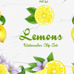 22种水彩柠檬水果剪贴画PNG免扣素材