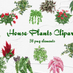 38种水彩单株植物剪贴画PNG免扣素材