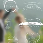 PR模板-12组浪漫小清新爱情婚礼文字标题动画 Wedding Titles