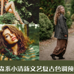 森系人像文艺小清新色调预设PR/PS/FCPX/AE/达芬奇/剪映LUT预设