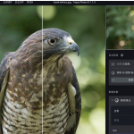 AI图像自动降噪锐化无损放大软件PS插件 Topaz Photo AI v1.5.4汉化