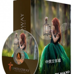 神话般唯美儿童摄影后期调色教程合集-中文字幕