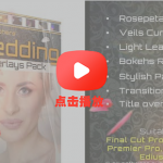 玫瑰花瓣樱花面纱窗帘散景漏光眩光光效4K分辨率视频素材