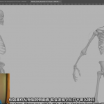 Zbrush教程-超人人体解剖学完整制作流程视频教程-中英字幕
