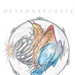 2300种烟花能量冲击发射飞行无损音效 Metamorphosis