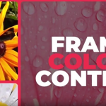 AE模板-258个动态画面拼贴视频分屏预设