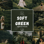 柔和绿色调电影风格Lightroom预设
