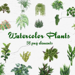 38株室内盆栽水彩植物剪贴画PNG免扣素材