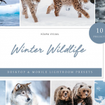 冬季野生动物Lightroom预设