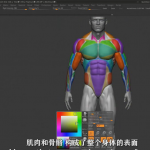 Zbrush男性动作解剖学雕刻大师级完整训练视频教程-中英字幕