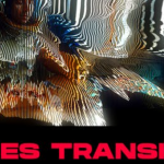 【AE模板】24种创意数字故障线条3D翻转扭曲过渡转场动画